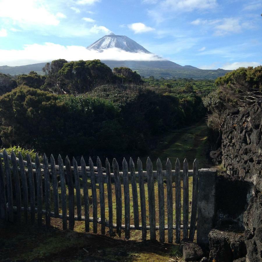 Casa Da Lava Pensionat São Roque do Pico Exteriör bild